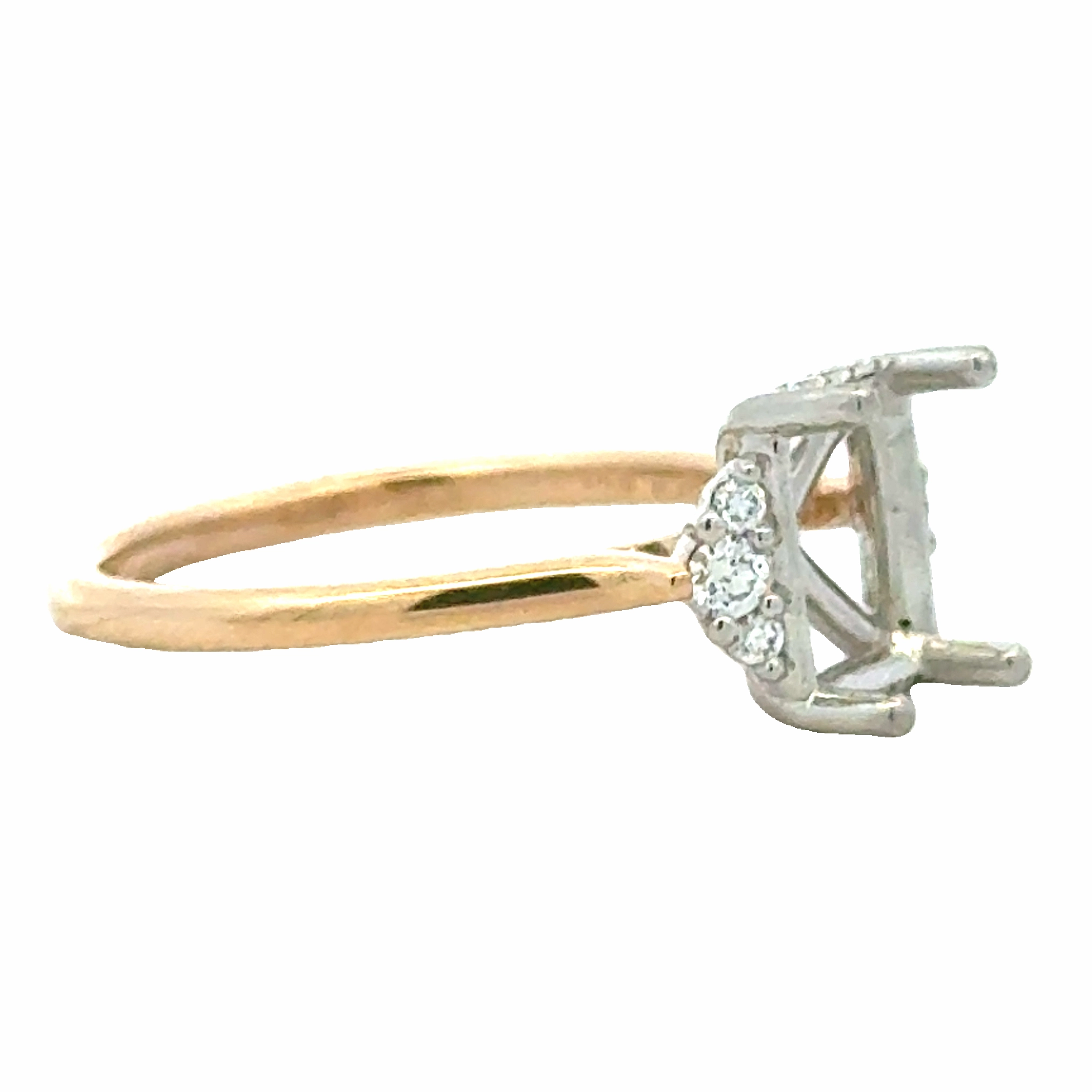 14ky/Plat Hidden Halo Semi-Mount Exquisite Detailing Glow Detail