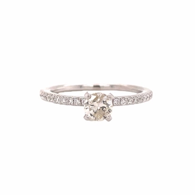 Elite Accent 18 Karat White Gold Diamond Solitaire with Diamond Shank Ring