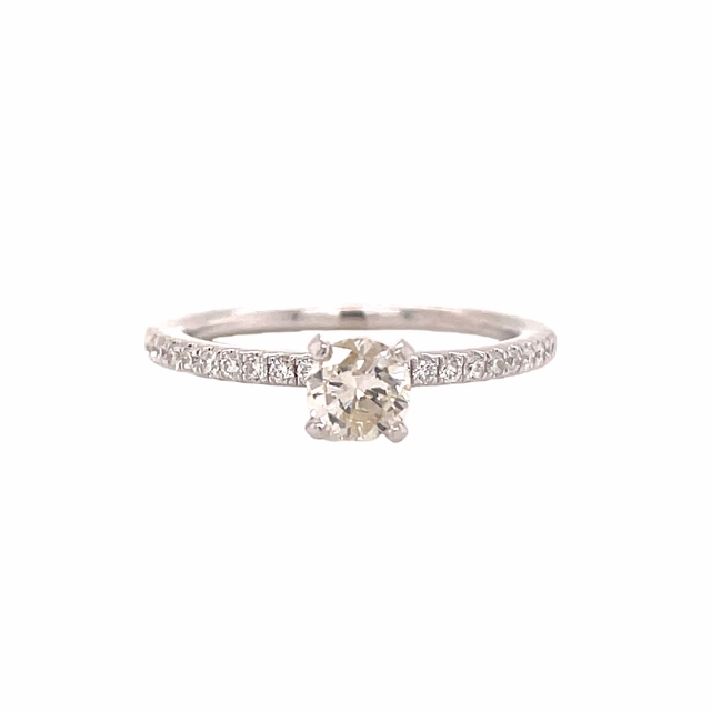 Elite Accent 18 Karat White Gold Diamond Solitaire with Diamond Shank Ring