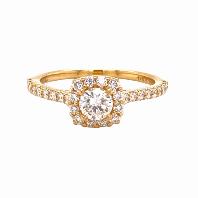Timeless Wardrobe Gifting Vibes 14 Karat Yellow Gold Halo Diamond Engagement Ring (.73cttw)
