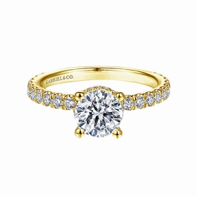 14kyw Hidden Halo Diamond Engagement Ring (2.45cttw) Boho Accent