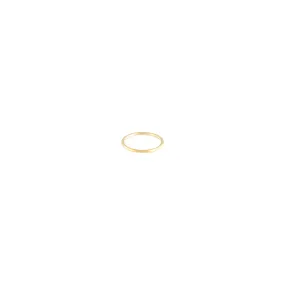 Gold Thin Clicker Hoop Earring Lustrous Accessory