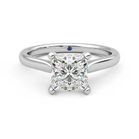 Straight Edge Princess Cut Moissanite Engagement Ring with Hidden Anniversary Stone and Secret Accents