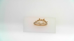 Ring/Heritage/Semi Artful Feature Model Mood