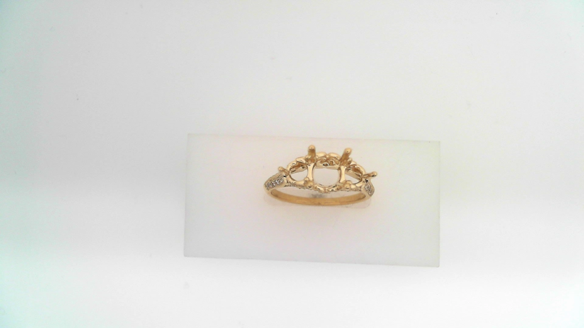 Ring/Heritage/Semi Artful Feature Model Mood