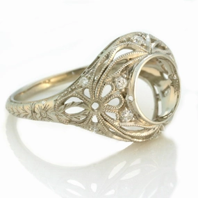 Custom Jewelry Ring/Semi-mount