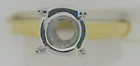 Ring/Semi-mount Artisan Detail