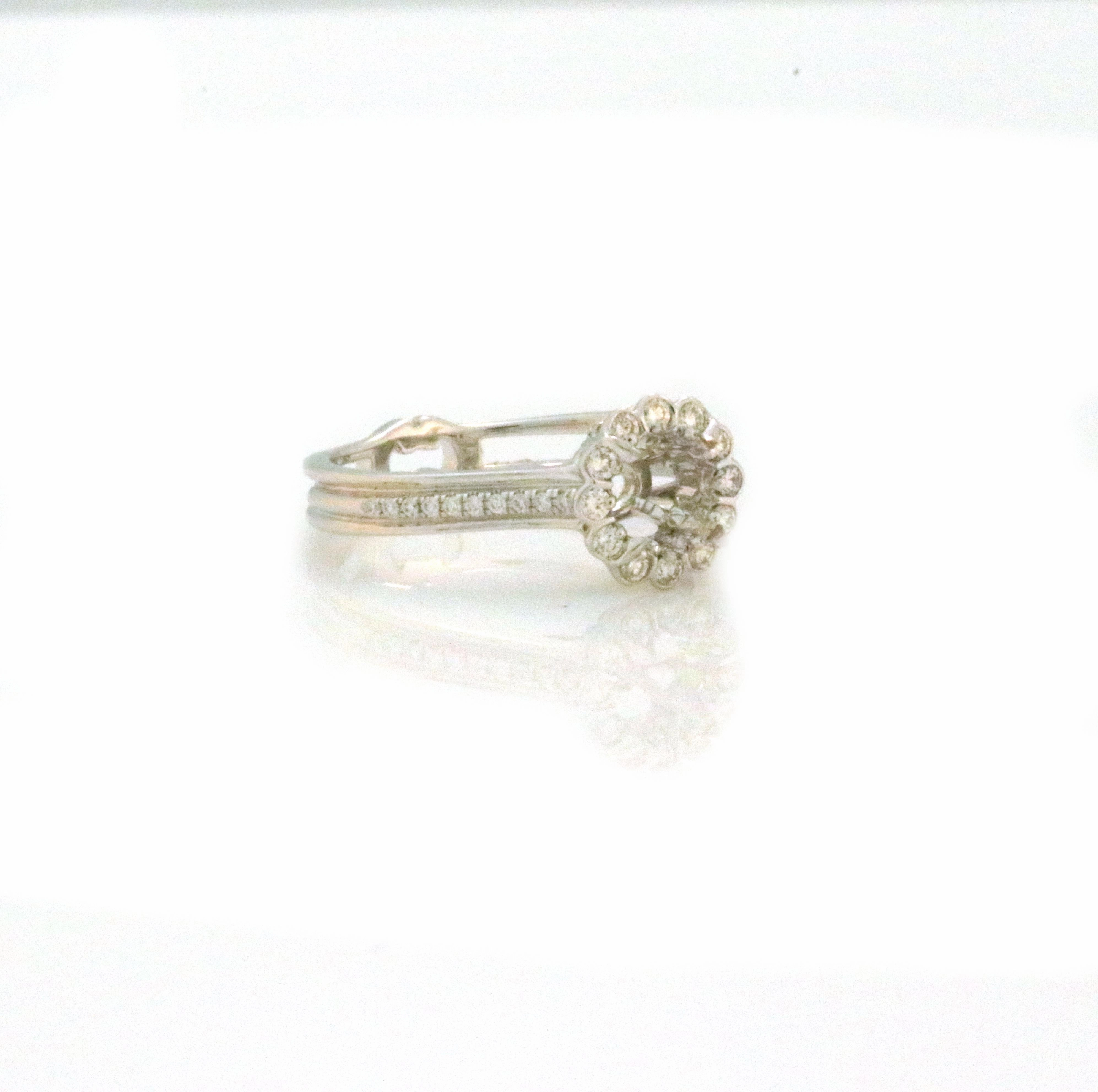 Sophisticated Shine Ring/Semi-mount