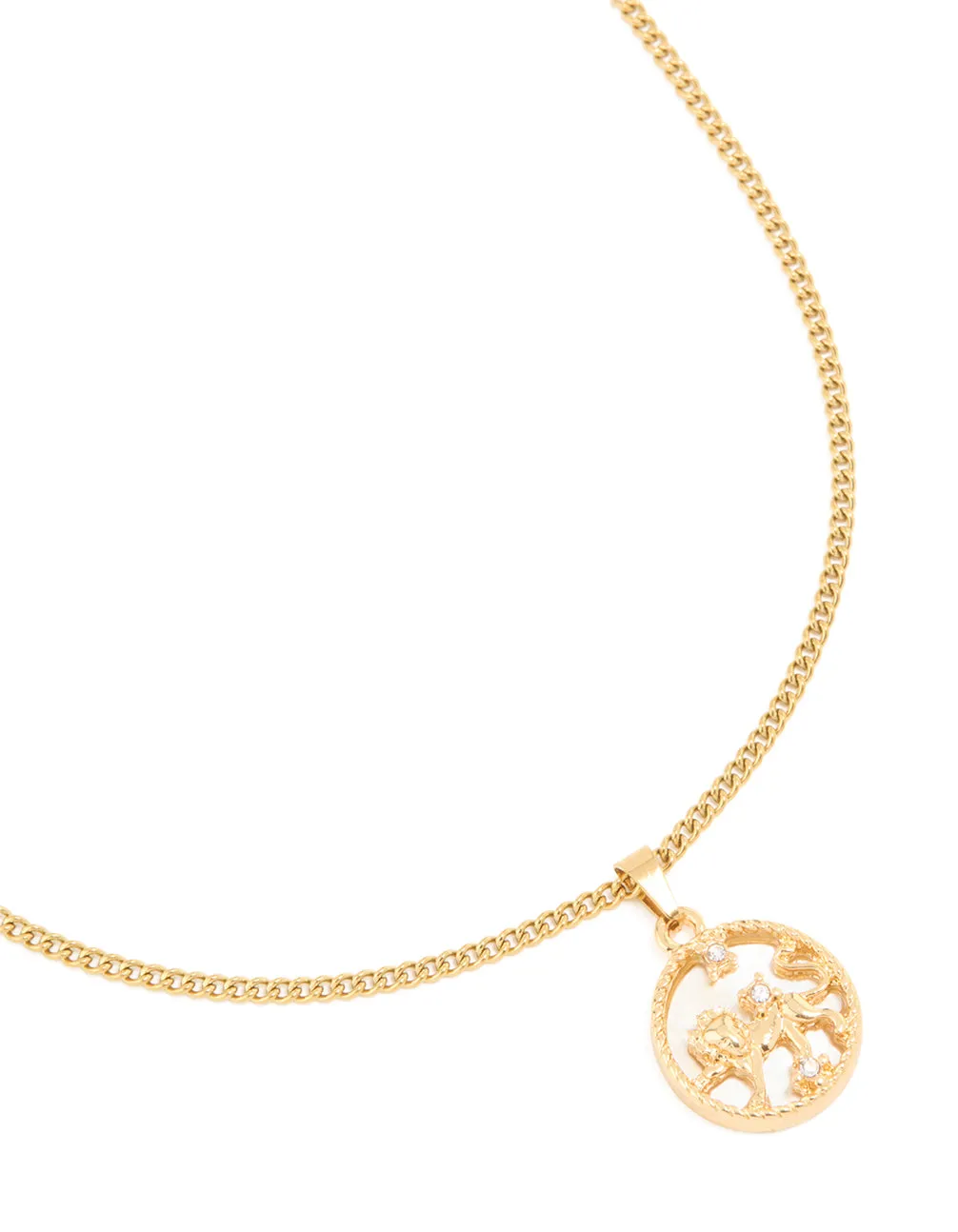 Perfect Adornment Daily Accent Waterproof Gold Plated Stainless Steel Circle Leo Necklace